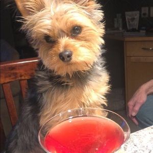 Meet your Posher, Maria